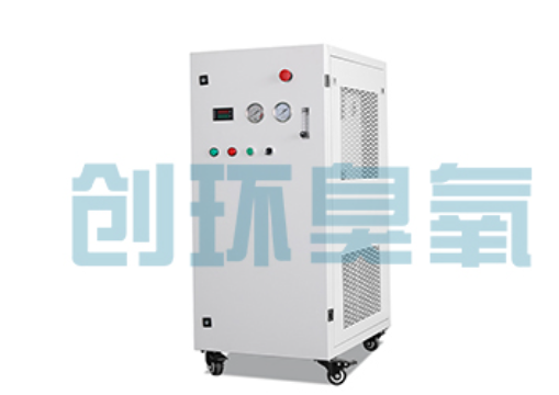 隆尧石斑鱼养殖水质调控完整指南:臭氧发生器配置与操作步骤