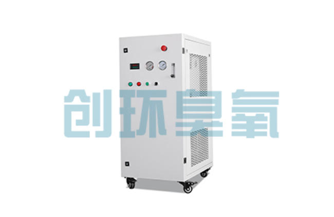 隆尧比传统换水更高效?臭氧发生器在石斑鱼养殖中的水质净化原理解析